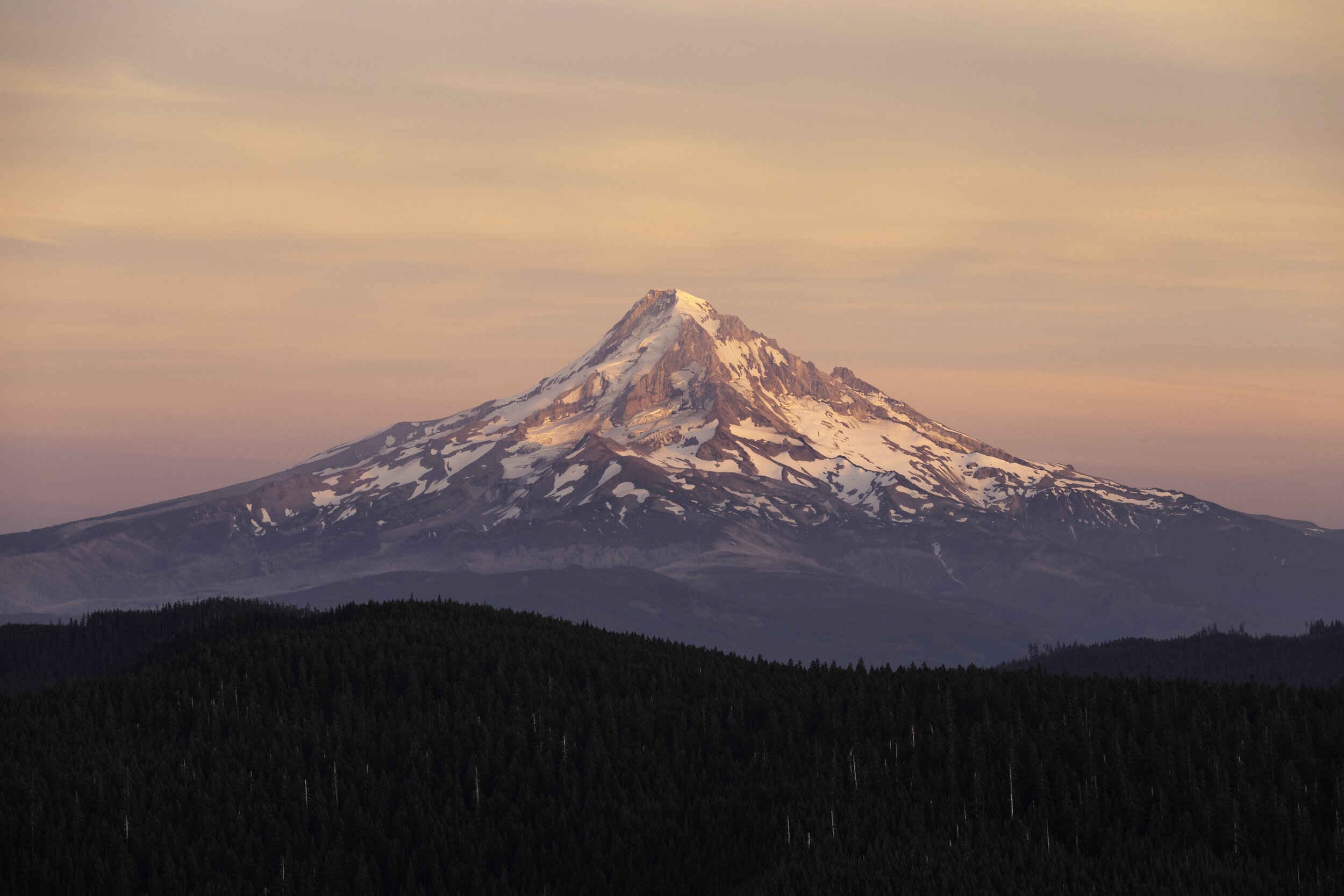 how-to-find-birth-records-in-oregon